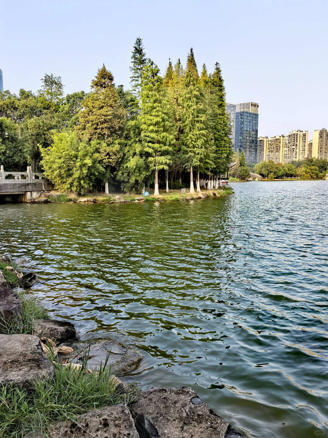 🌲这里的秋天还是绿：🌿赣州市中央公园