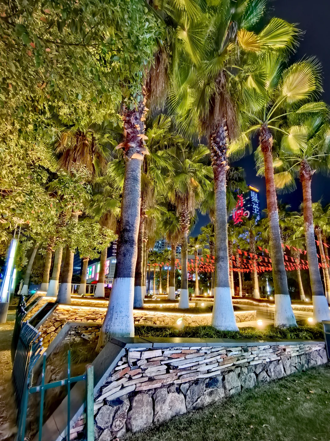 🌲这里的秋天还是绿：🌿赣州市中央公园