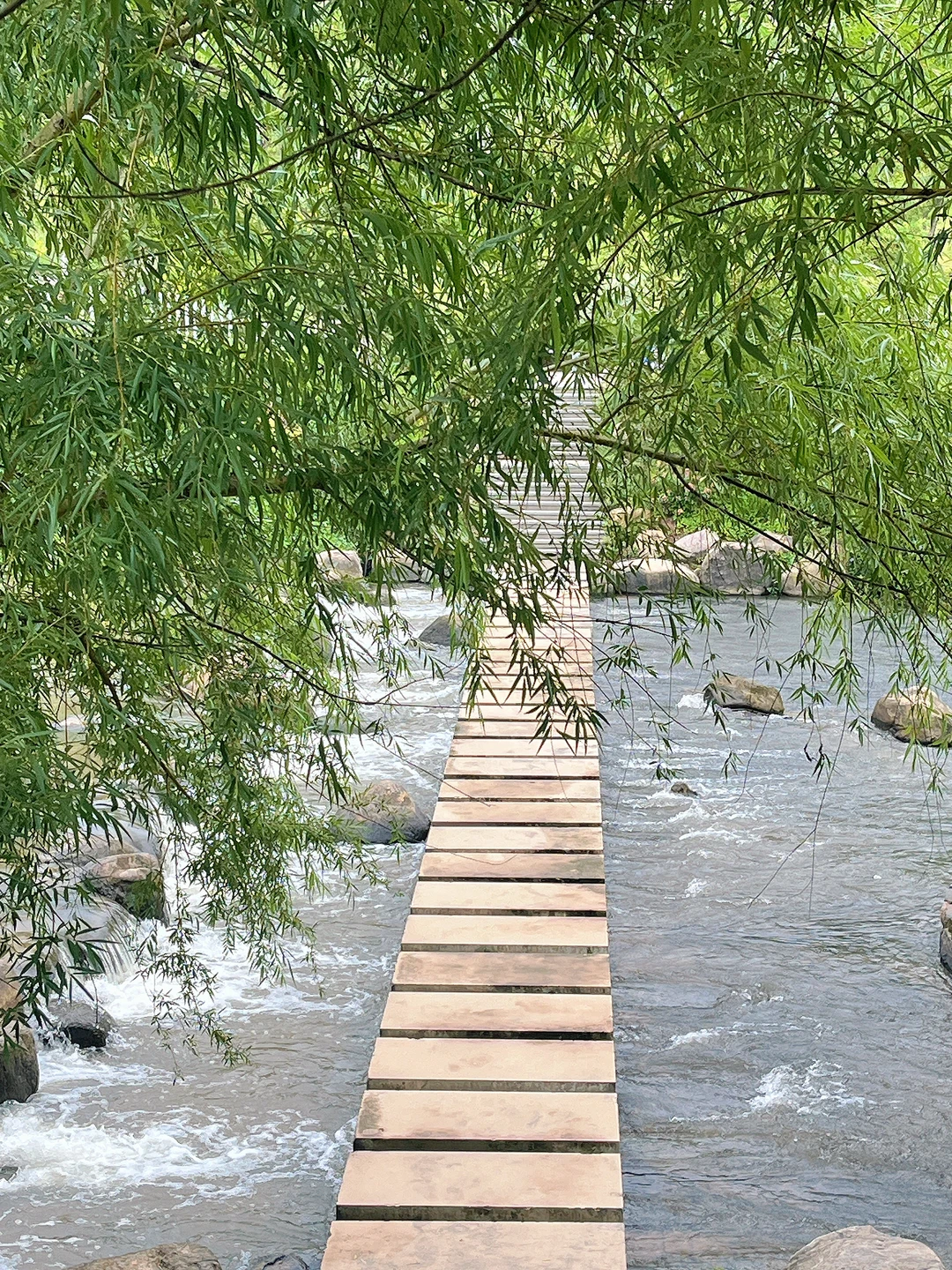 在赣州！！去过无数次的公园