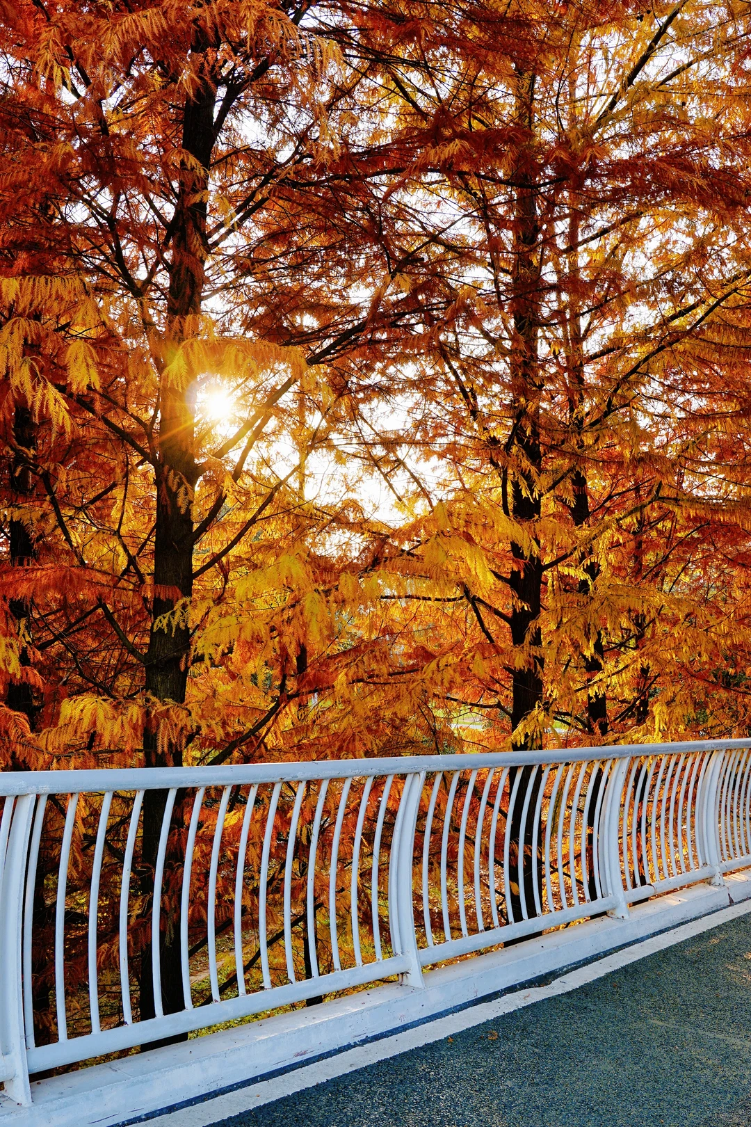 12.10实况！抚州三翁花园杀疯啦！！