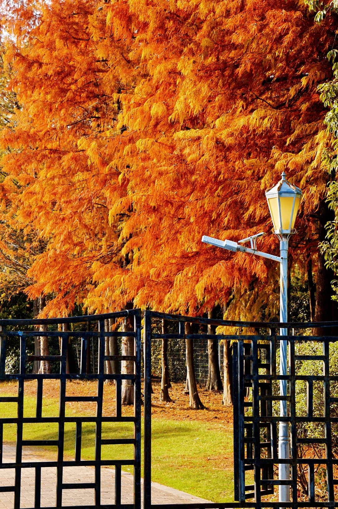 12.10实况！抚州三翁花园杀疯啦！！