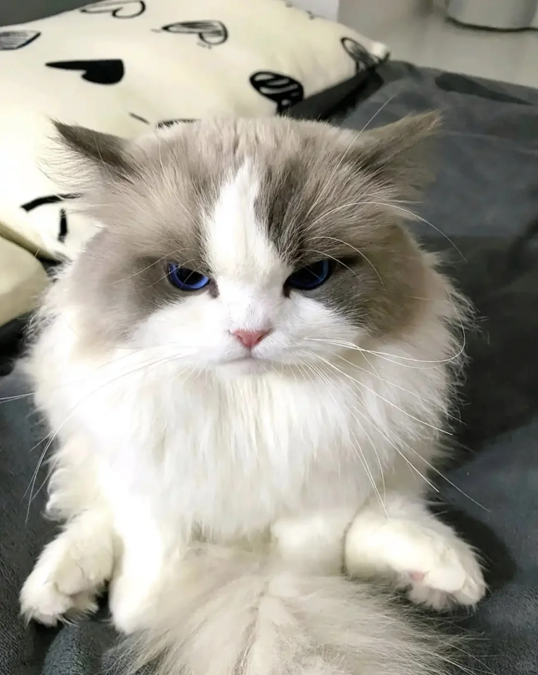 坐标抚州 找个饭搭子