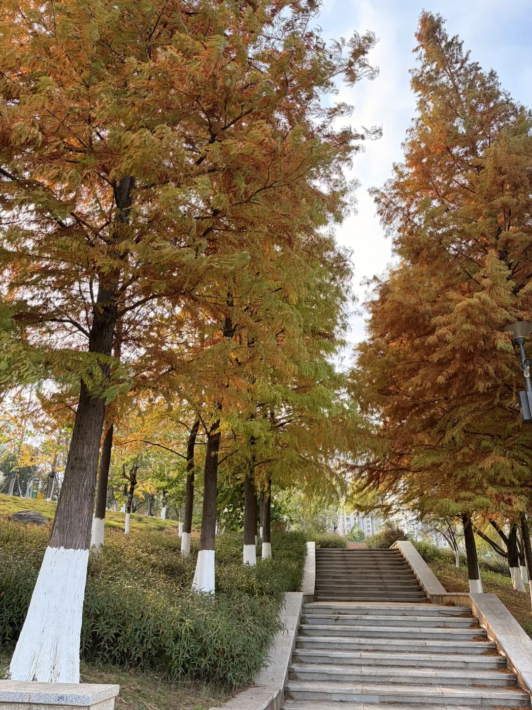 赣州| 滨江公园 绝美