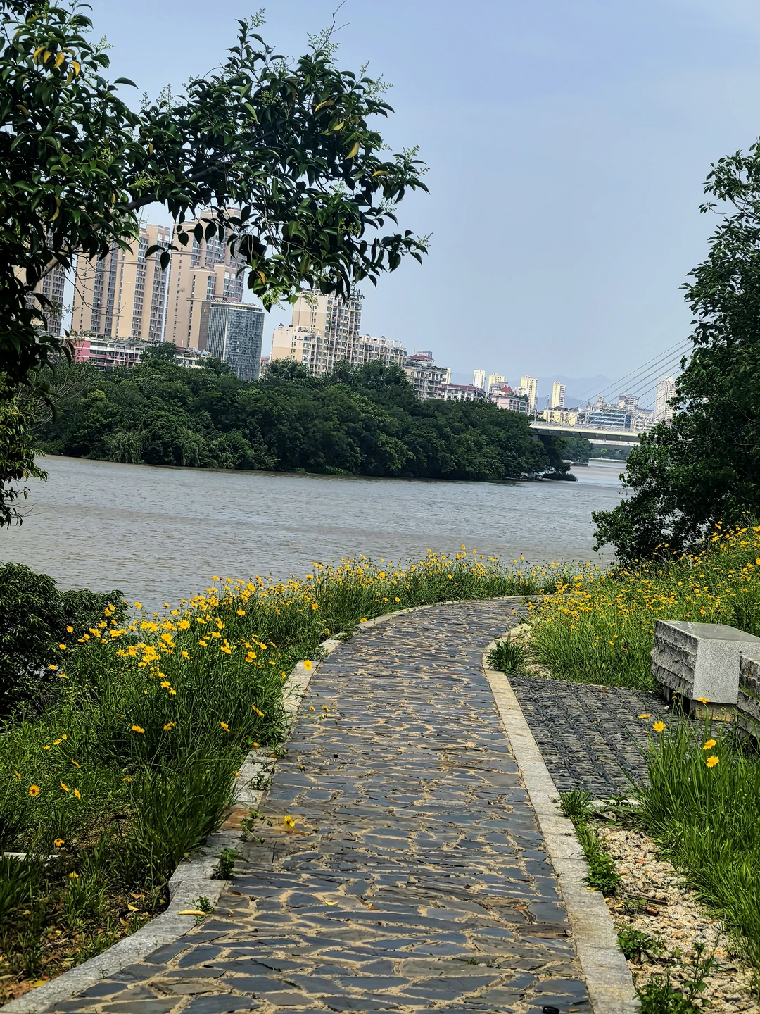赣州初夏的江边🌼