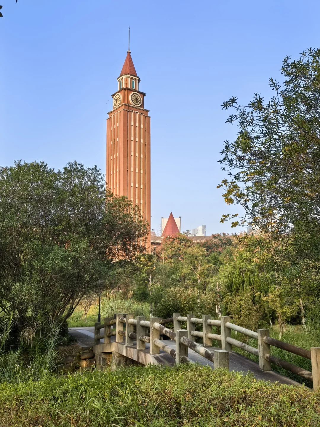 🌲这里的秋天还是绿：🌿赣州市中央公园