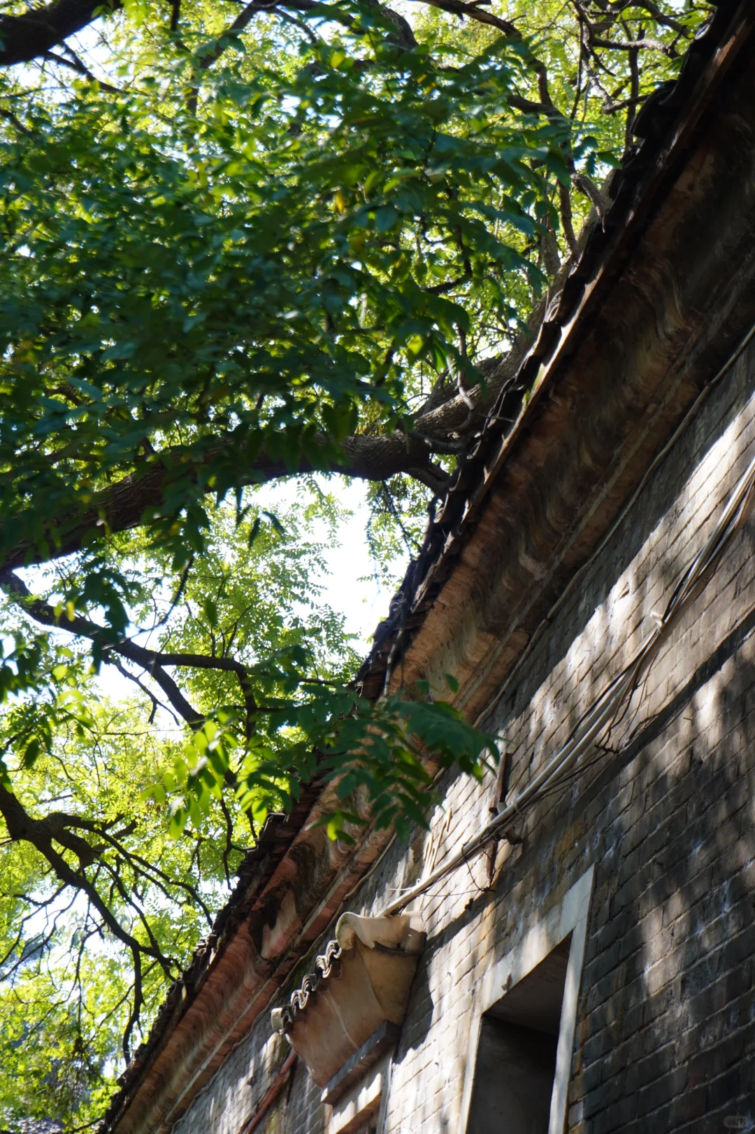 千年宋城📍赣州 | 藏在江西的古韵秘境