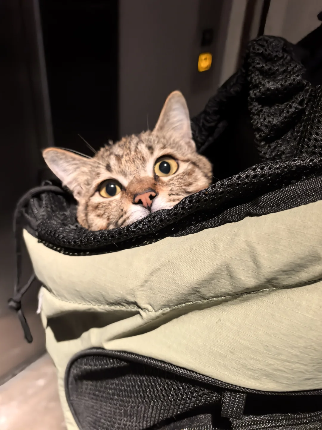 江西赣州 | 开启暴走模式