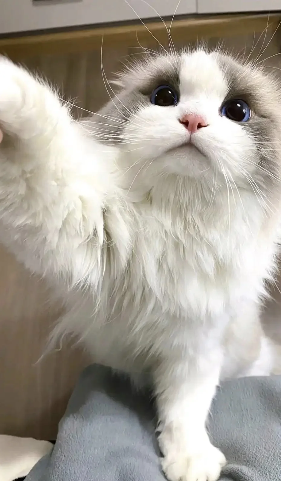 坐标抚州 找个饭搭子