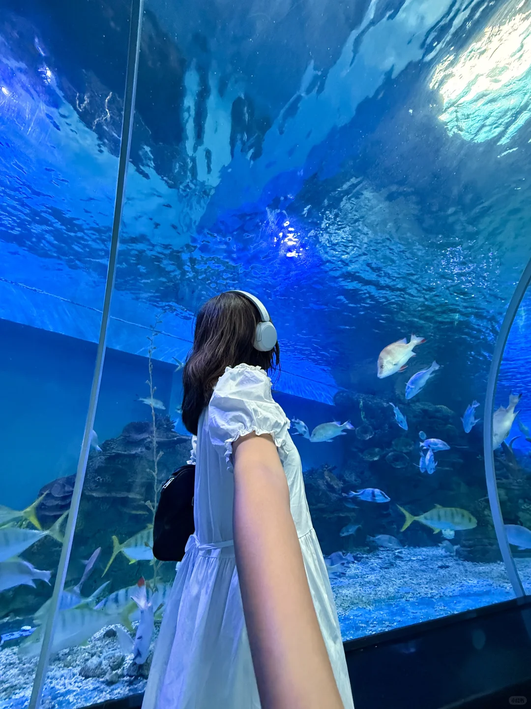 【江西·赣州】被严重低估的宝藏小城！！