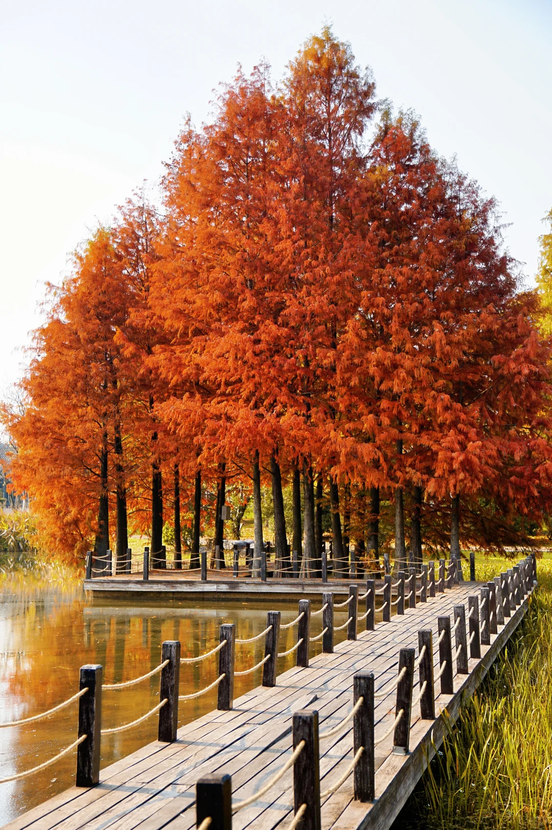 12.10实况！抚州三翁花园杀疯啦！！