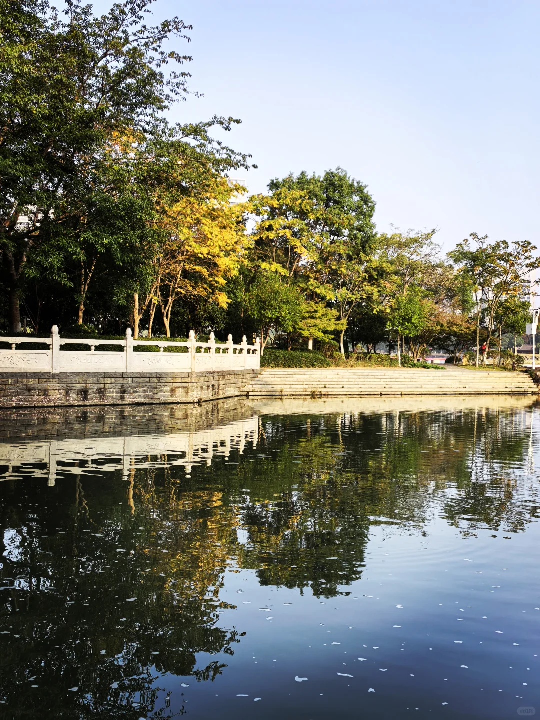 🌲这里的秋天还是绿：🌿赣州市中央公园