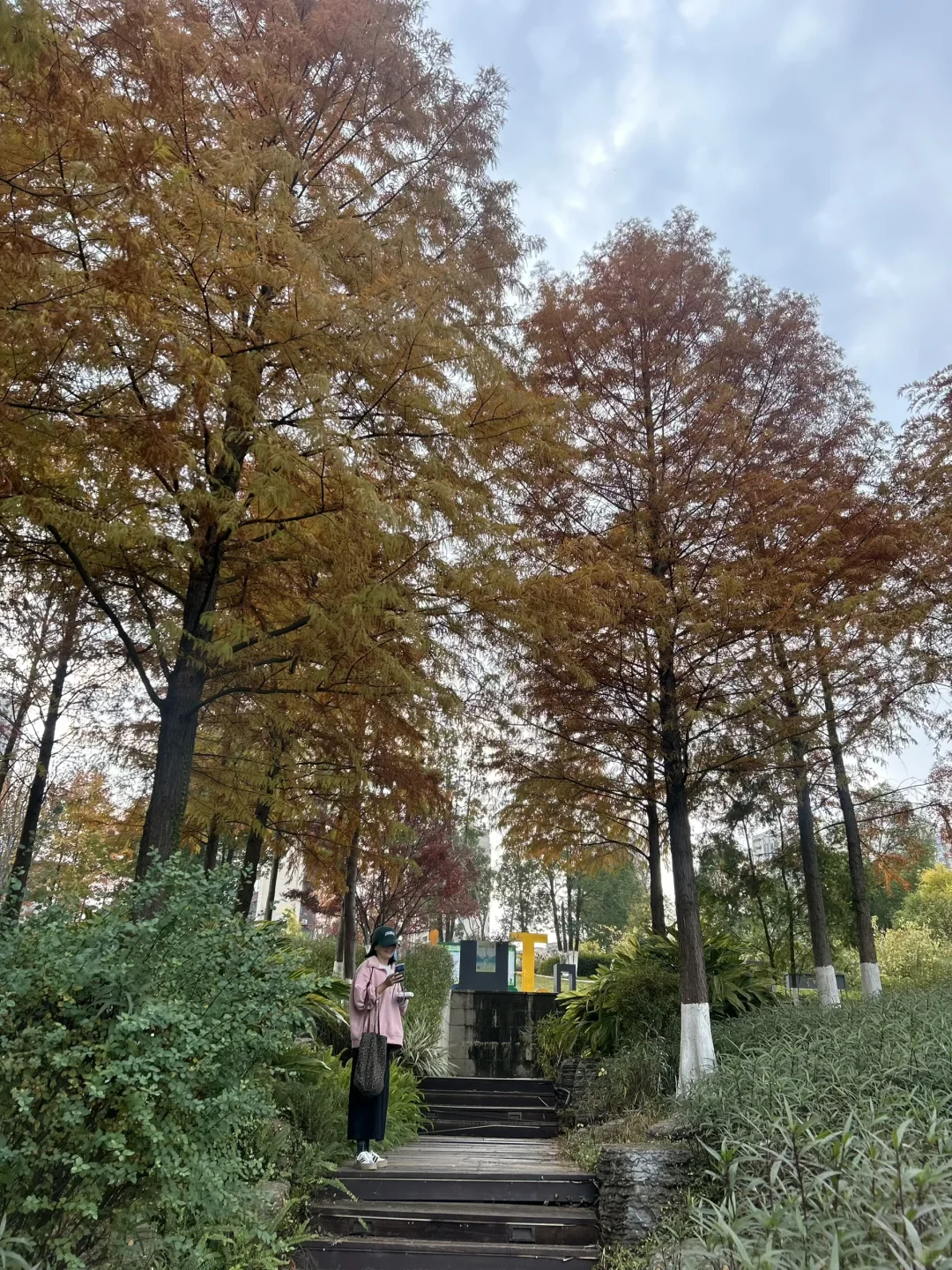 赣州| 滨江公园 绝美