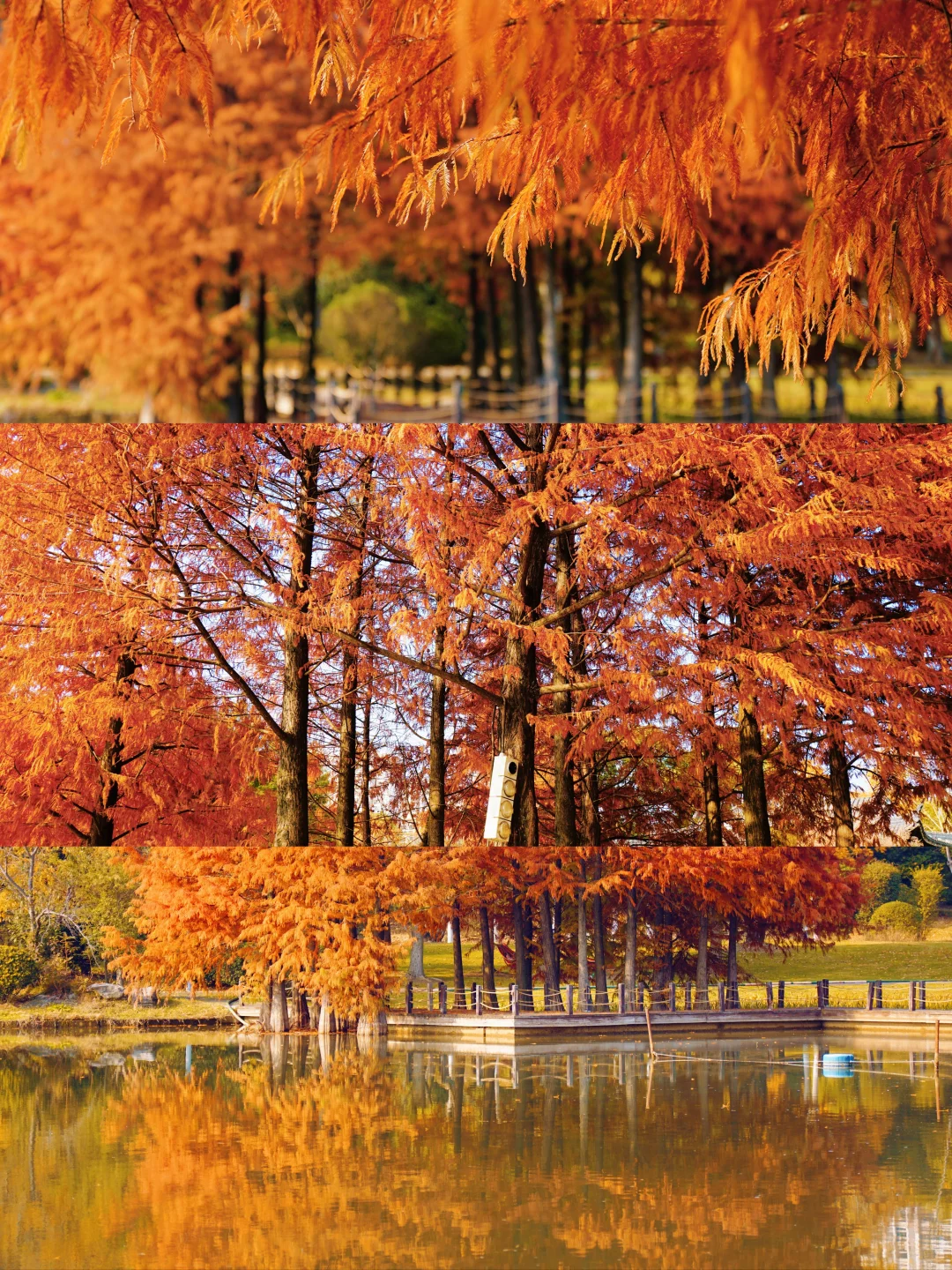 12.10实况！抚州三翁花园杀疯啦！！
