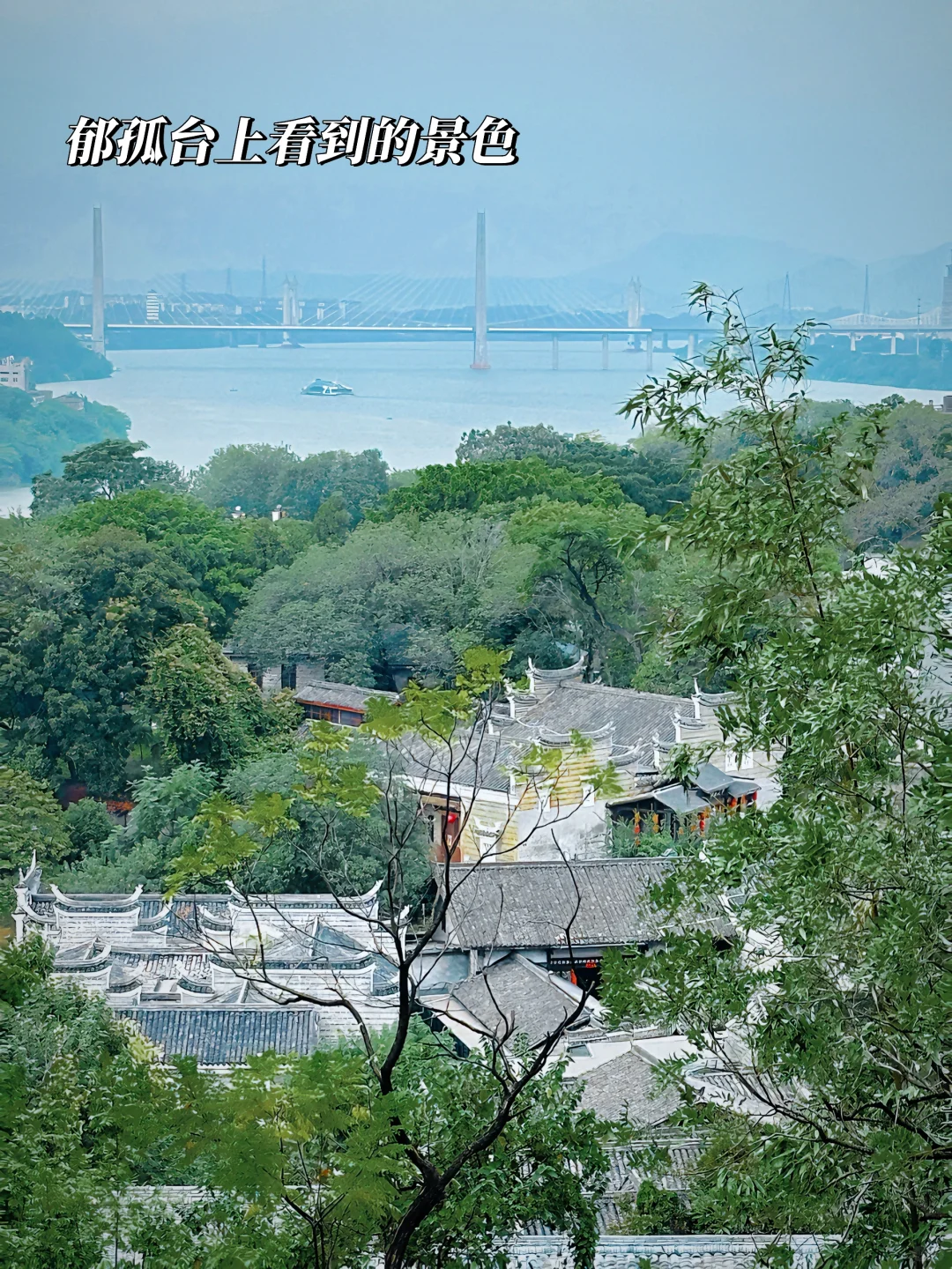 去了赣州不下10次，说点实话不过分吧