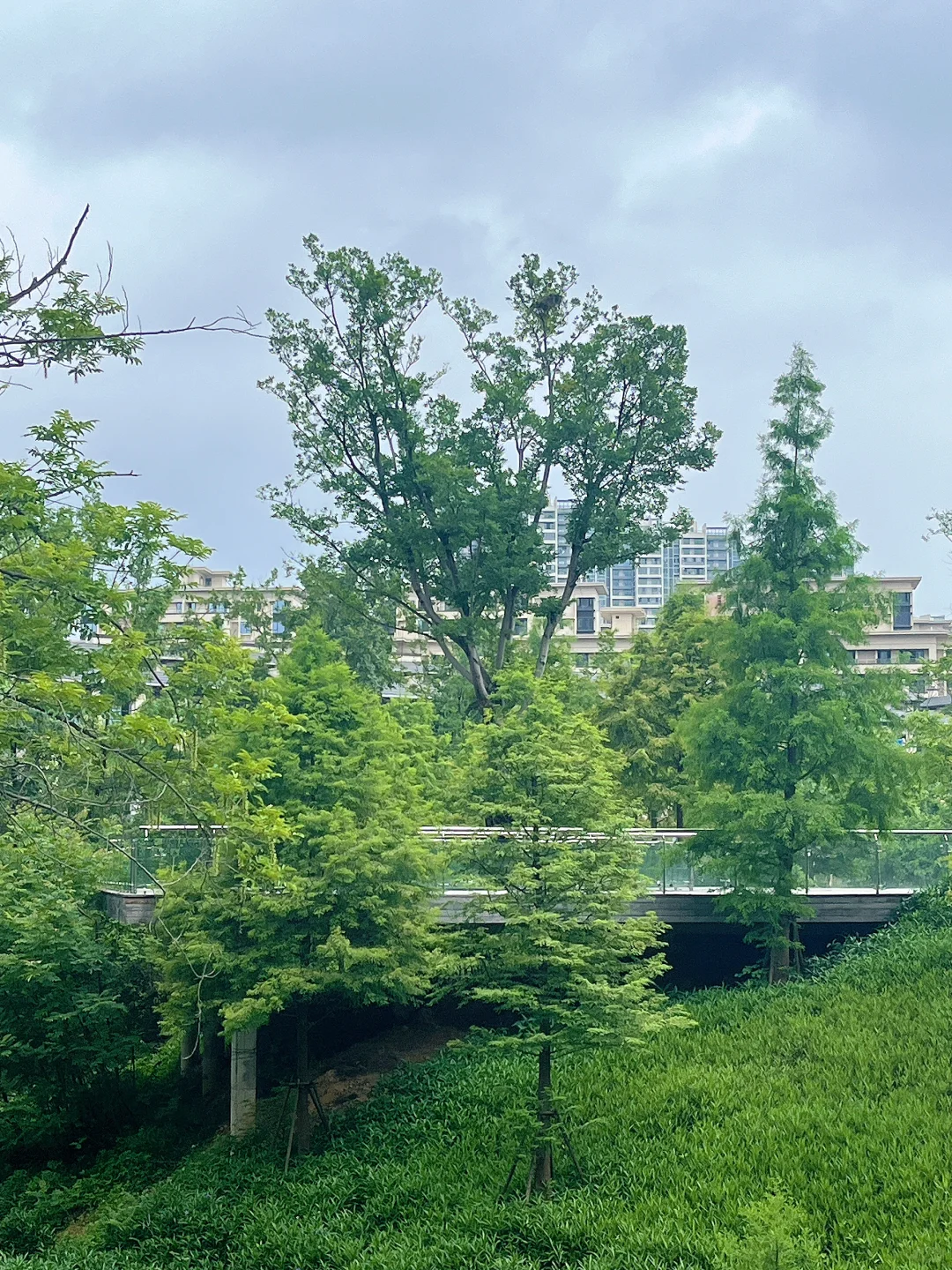 在赣州！！去过无数次的公园