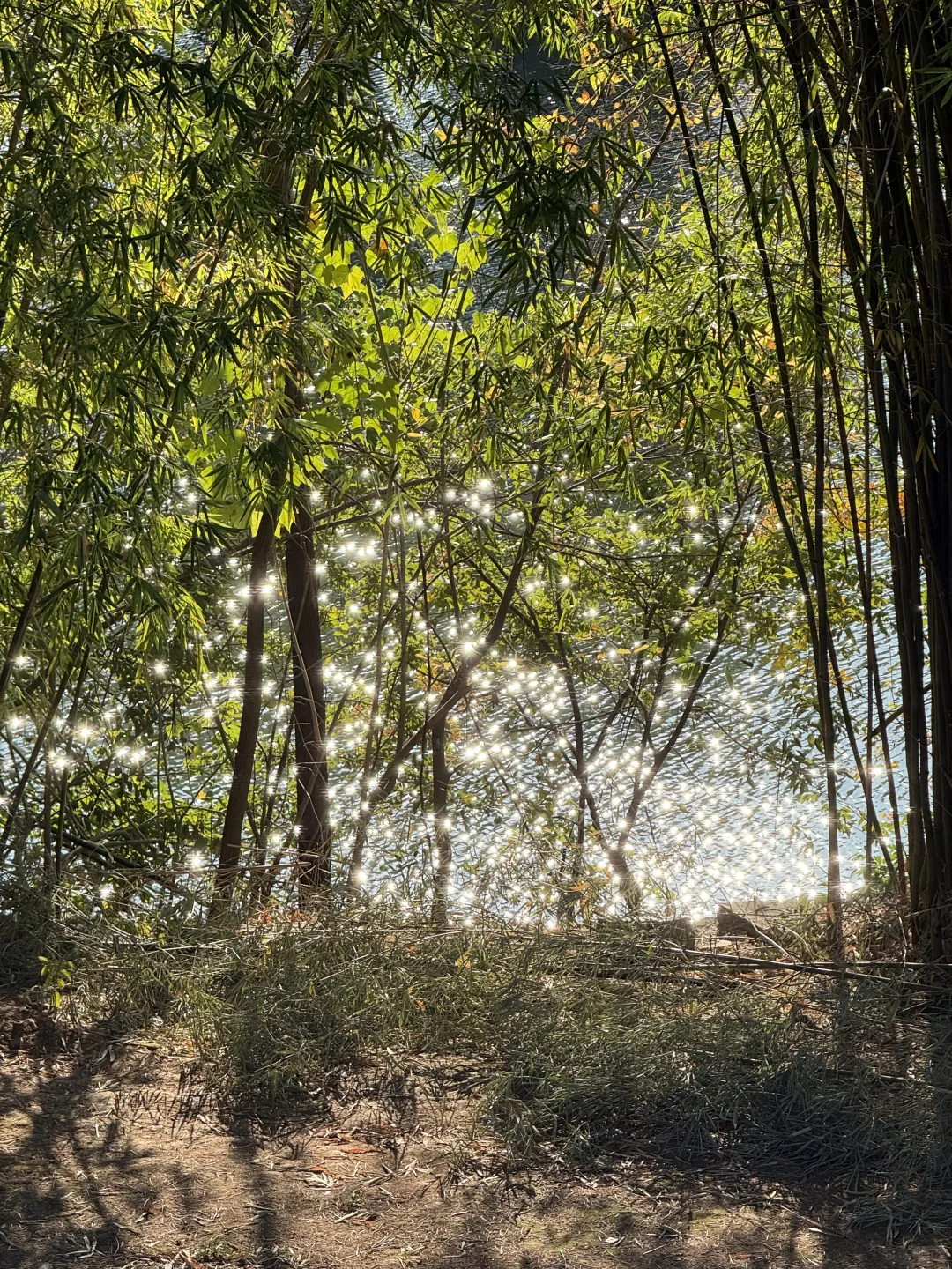 12月份赣州挺舒服的好吃好逛