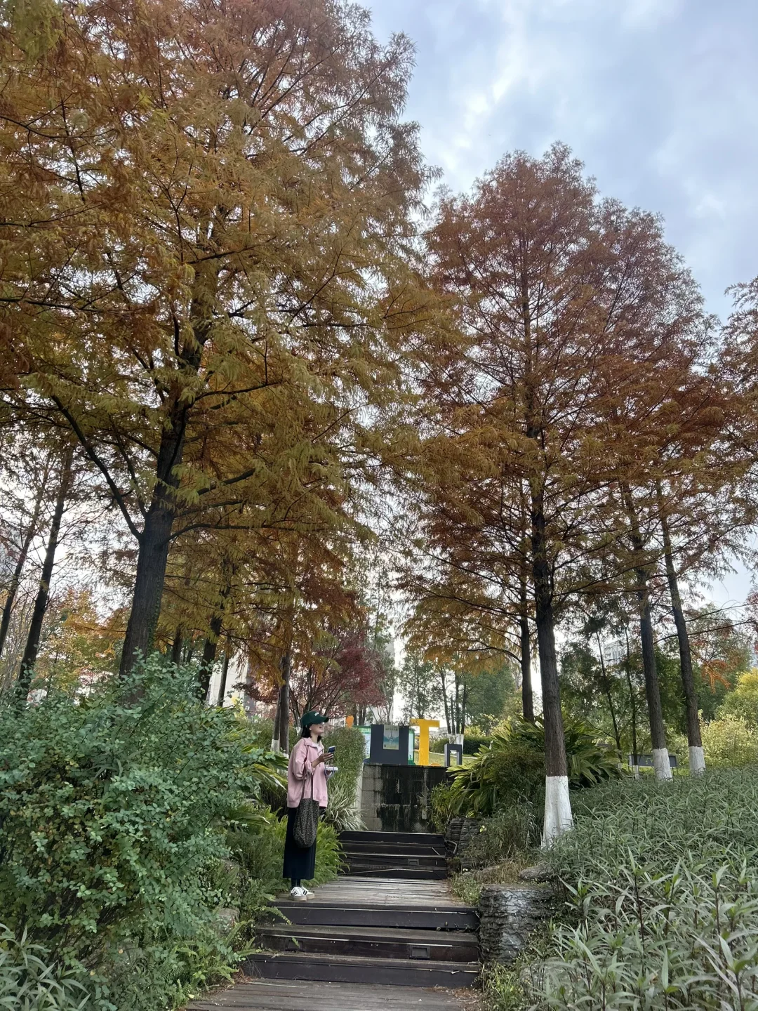 赣州| 滨江公园 绝美