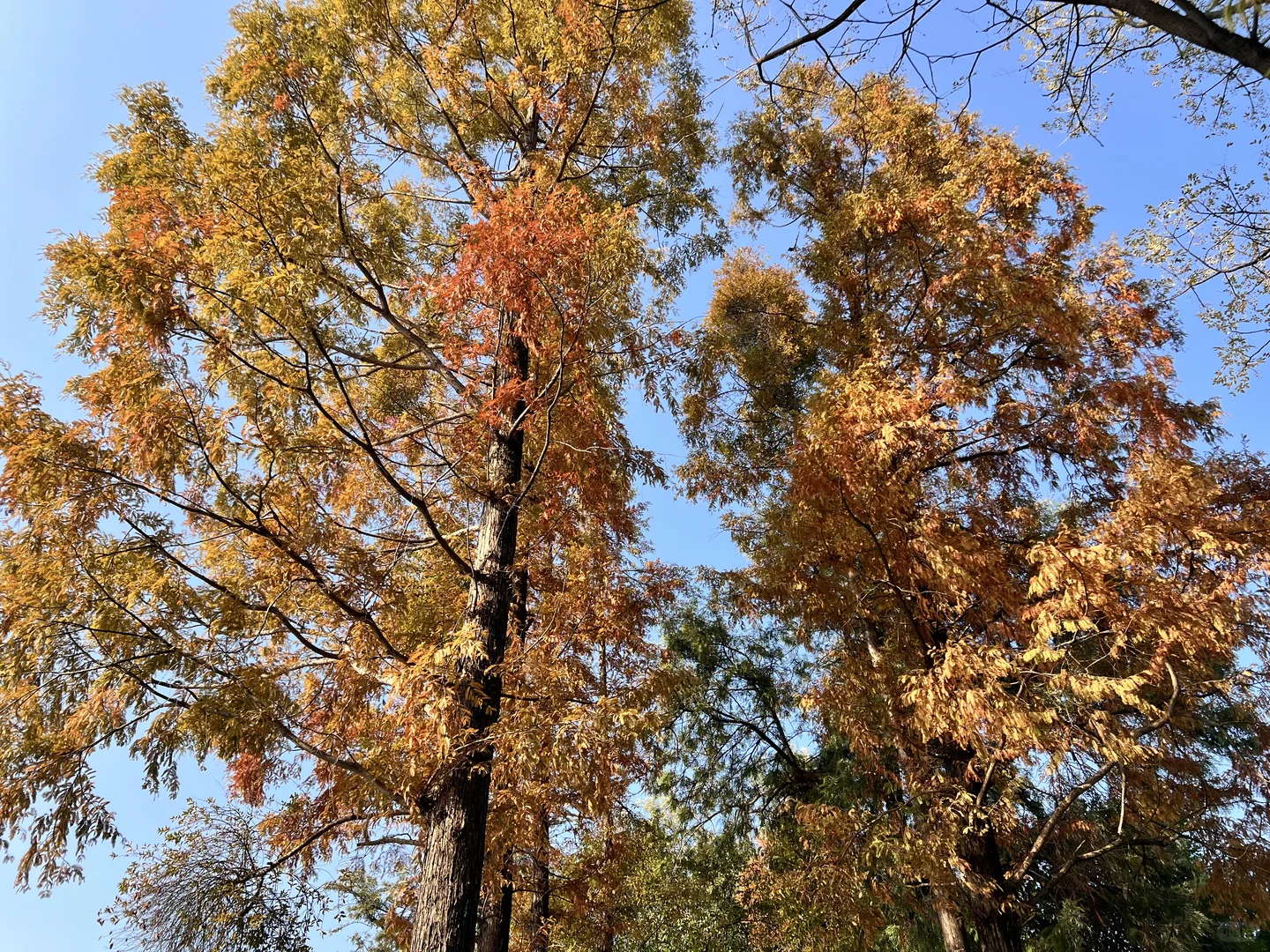 深圳到赣州一日游