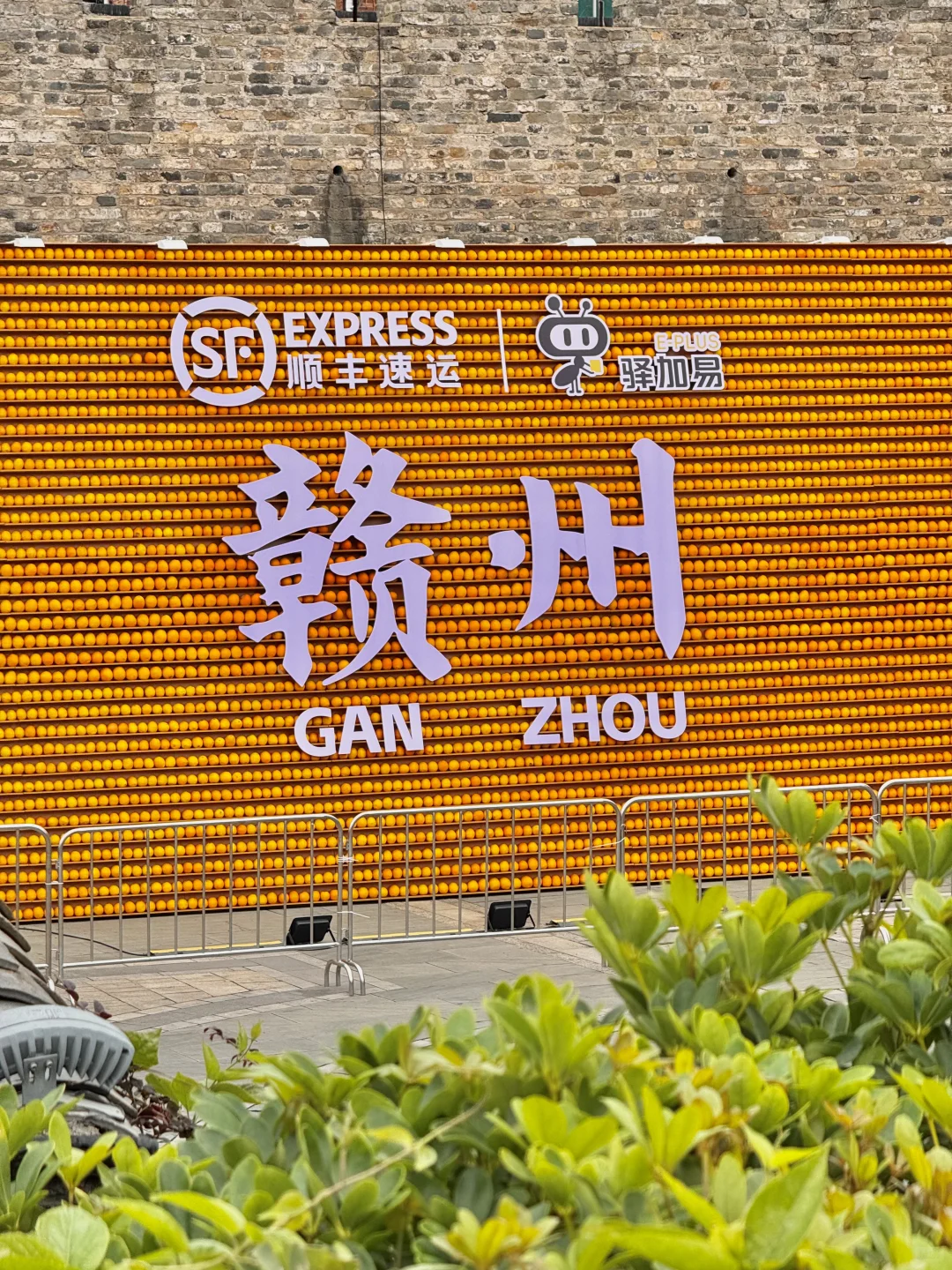 赣州！！！你真的好city！！！一年一度晒秋🍊