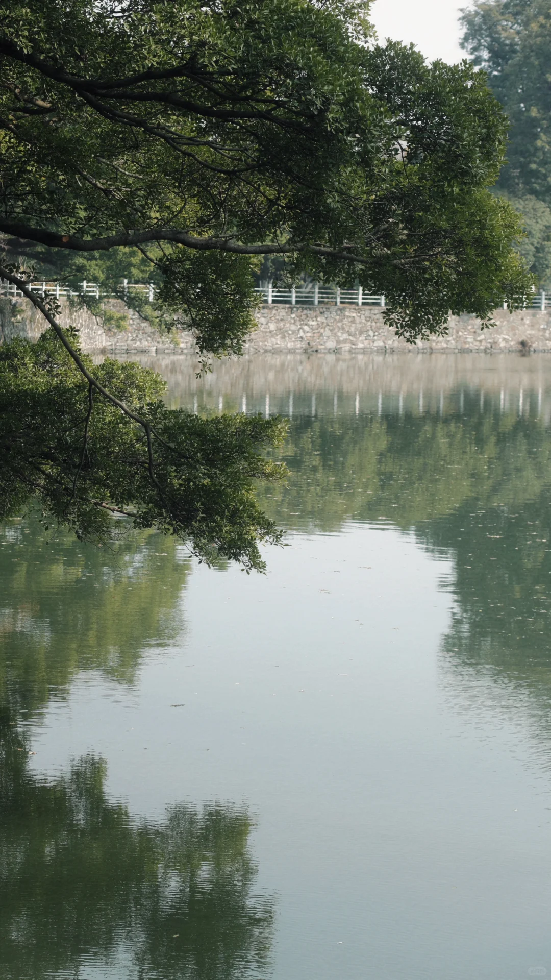 赣州 | 不就是真江南吗🏮