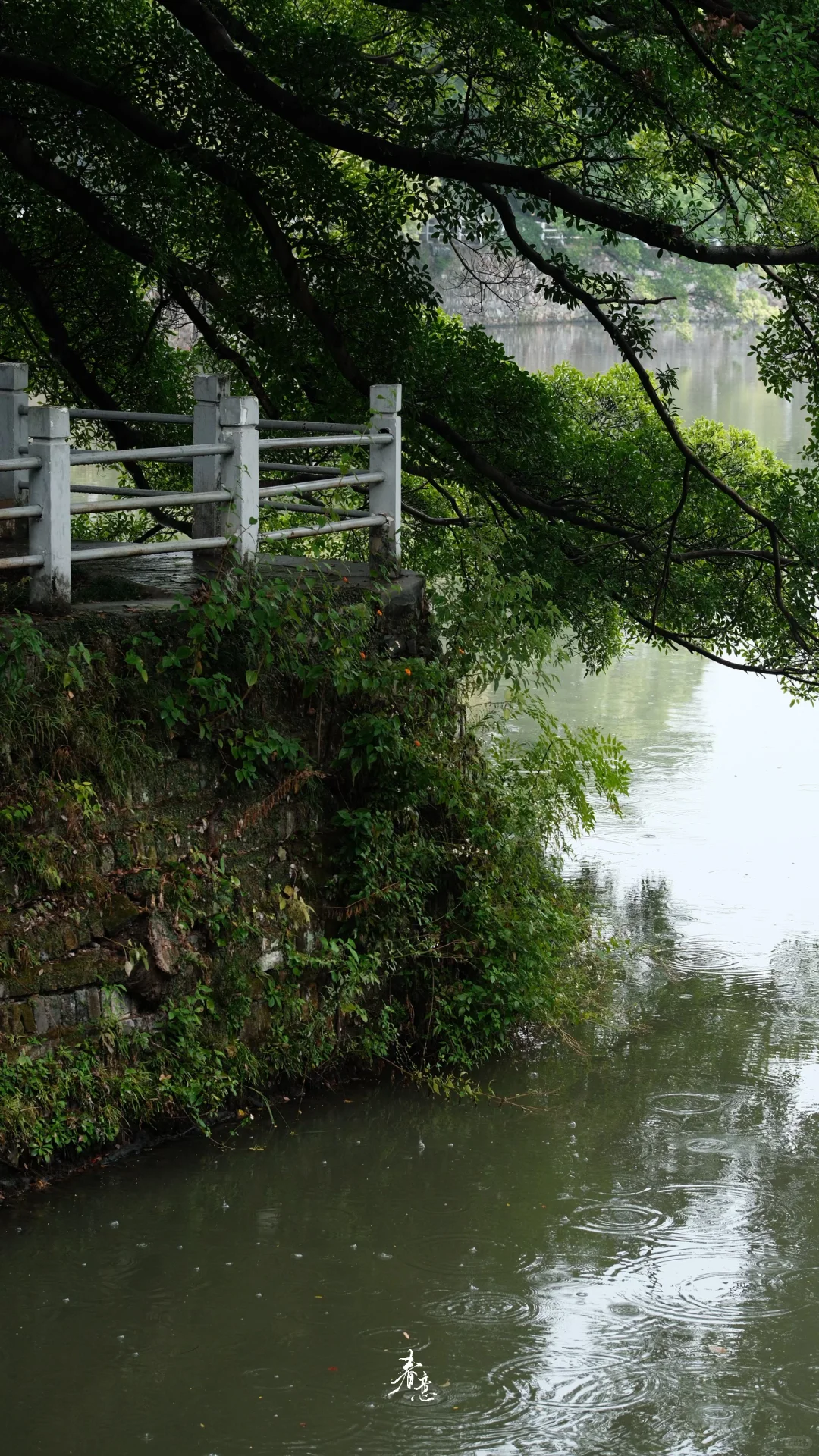 赣州｜八境公园