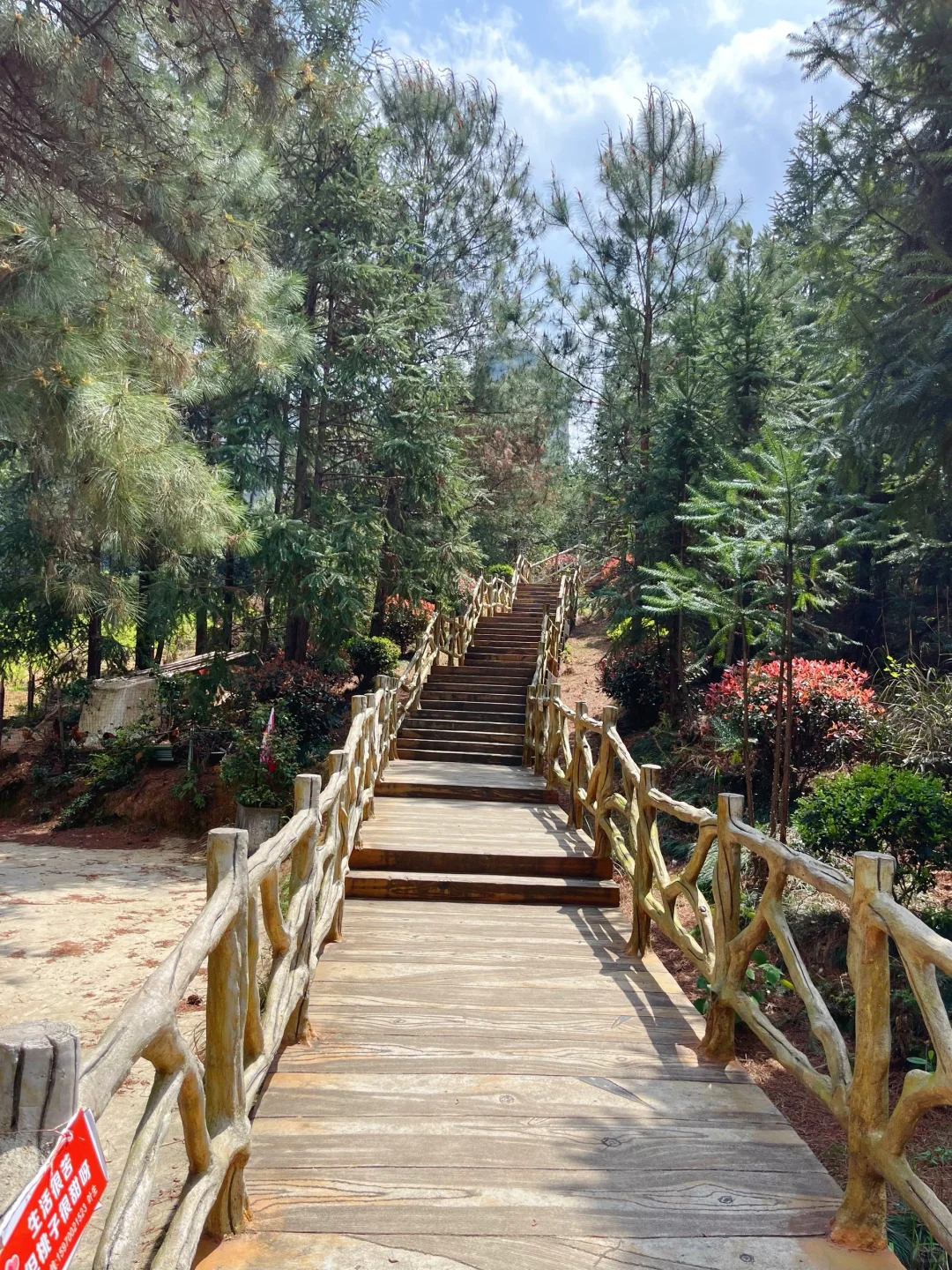 「答应我，一定要爬一次这里」