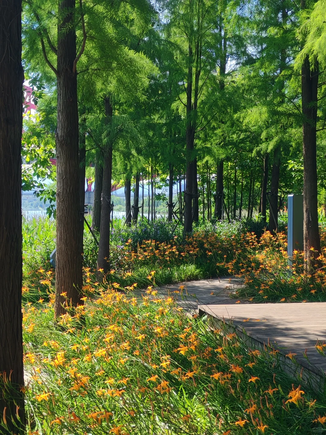 赣州超美的一个公园…