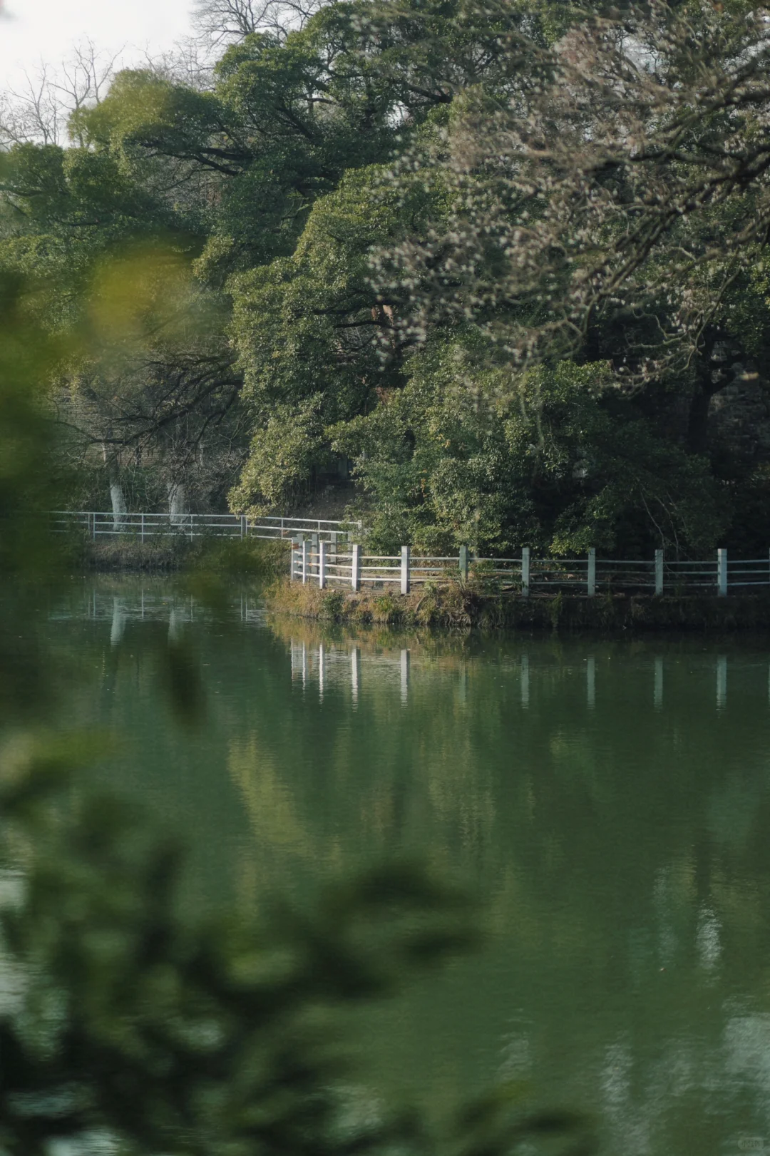 赣州 | 不就是真江南吗🏮