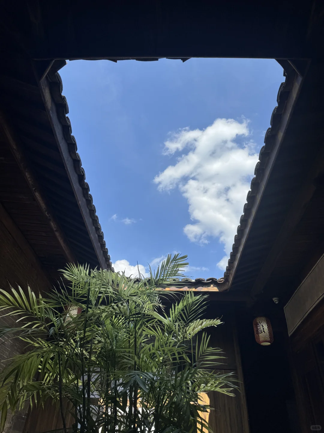 在赣州！久违的城市活力深深吸引了我！