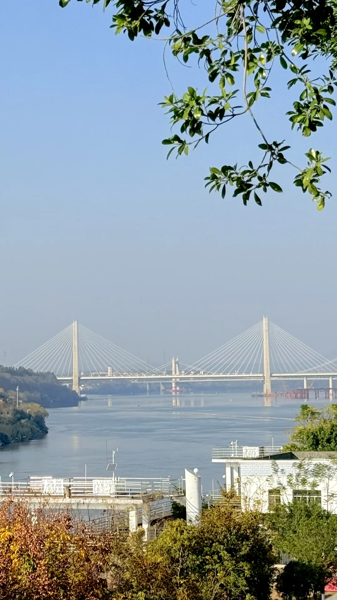 12月的赣州是橙香肆意🍊美不胜收