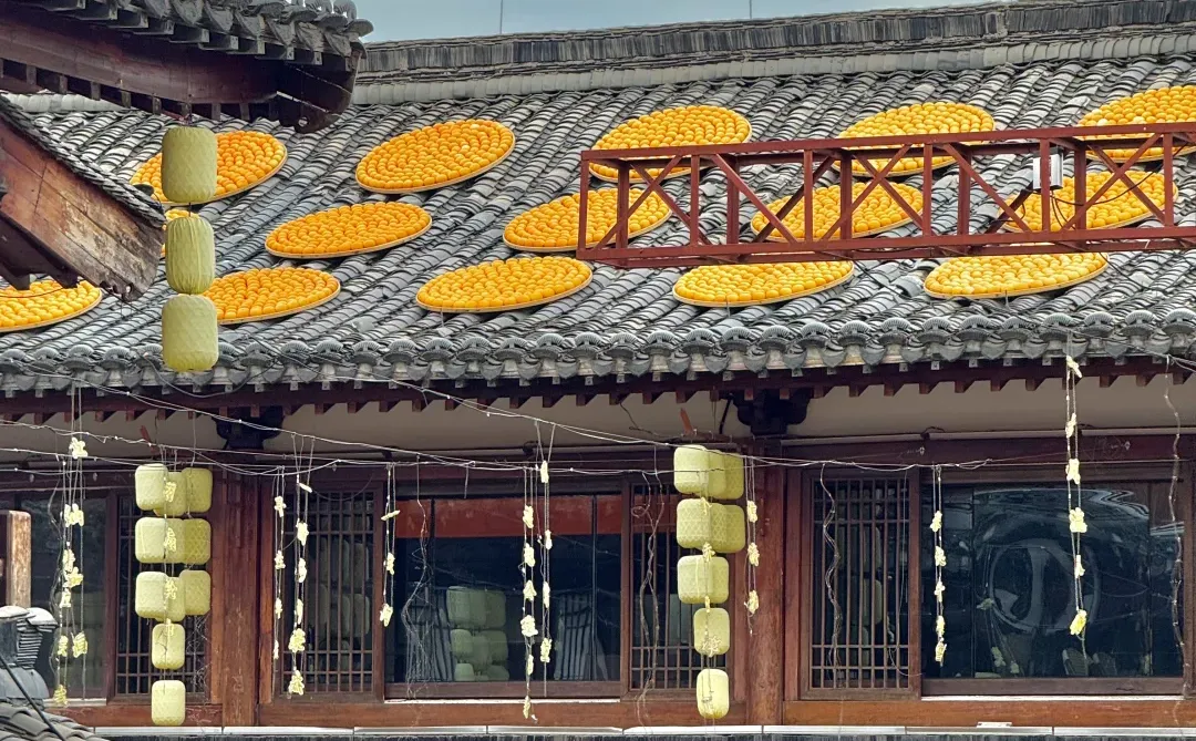 赣州！！！你真的好city！！！一年一度晒秋🍊