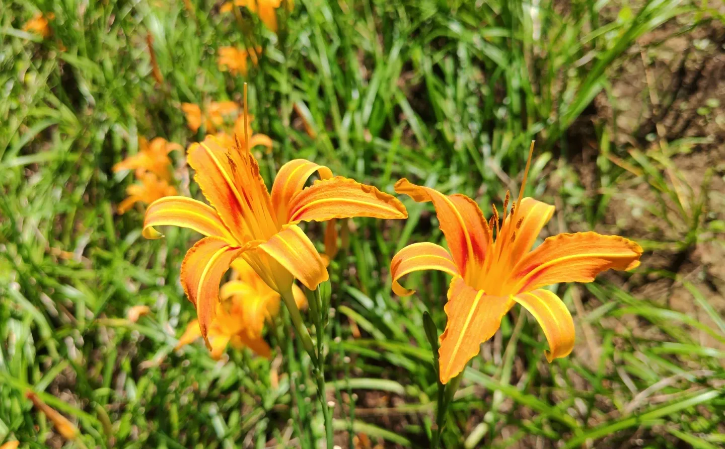 赣州超美的一个公园…