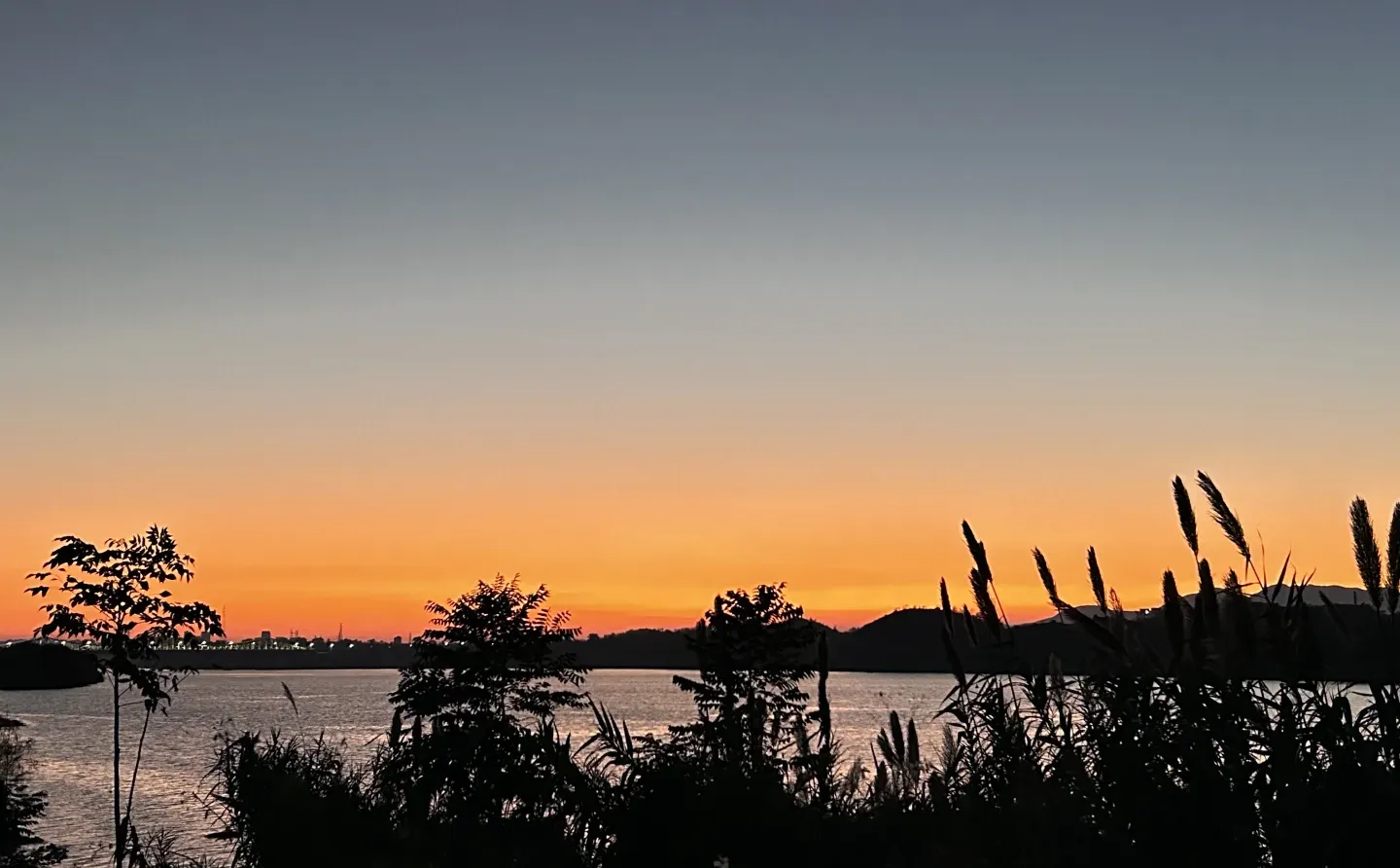 晓镜湖映云，风带草木香，赣州的温柔在此处。