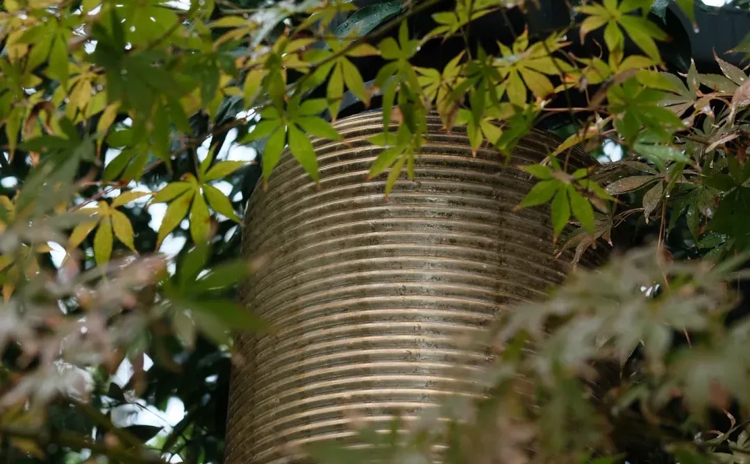 赣州｜八境公园