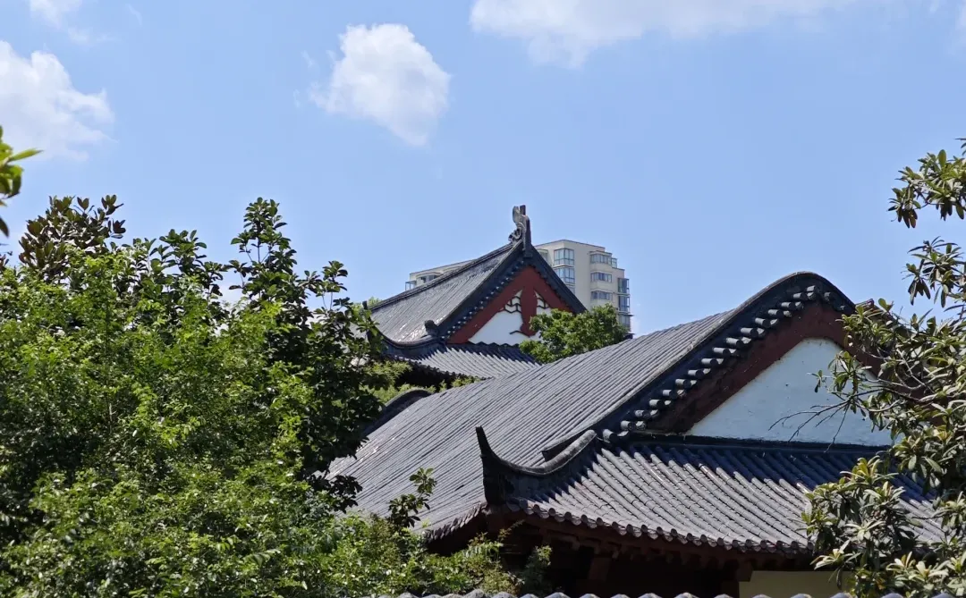 半天游玩抚州城攻略 抚州真的太好拍了