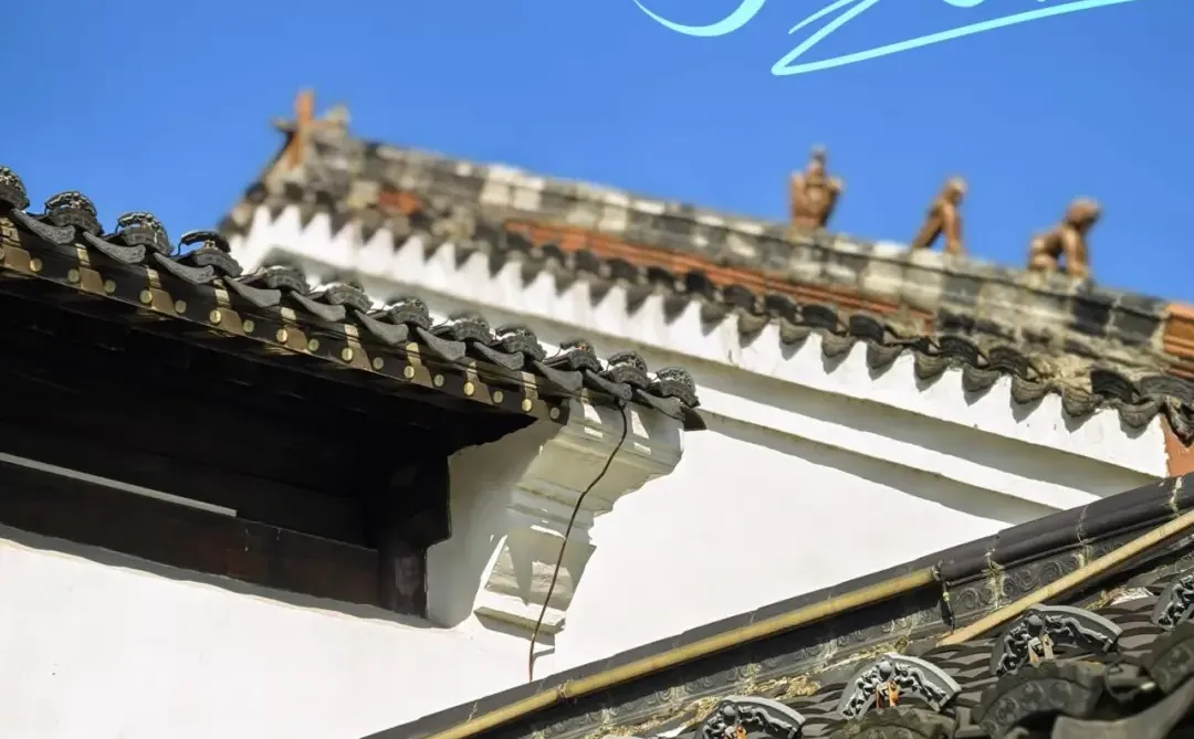 抚州黎川试院-孔庙的浪漫银杏～