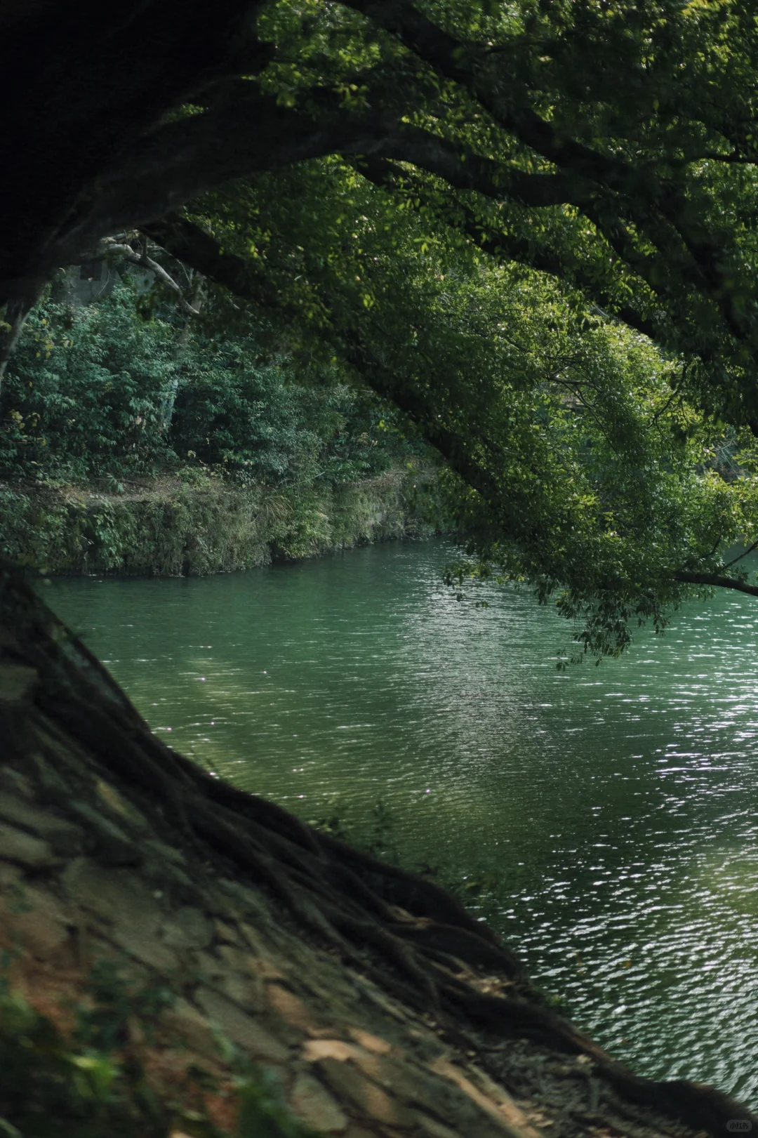 赣州 | 不就是真江南吗🏮