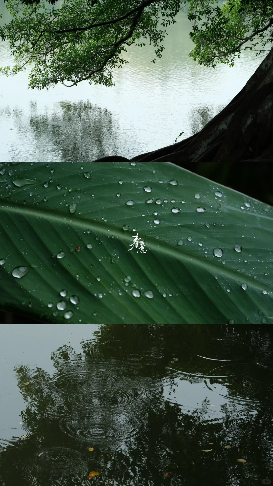 赣州｜八境公园