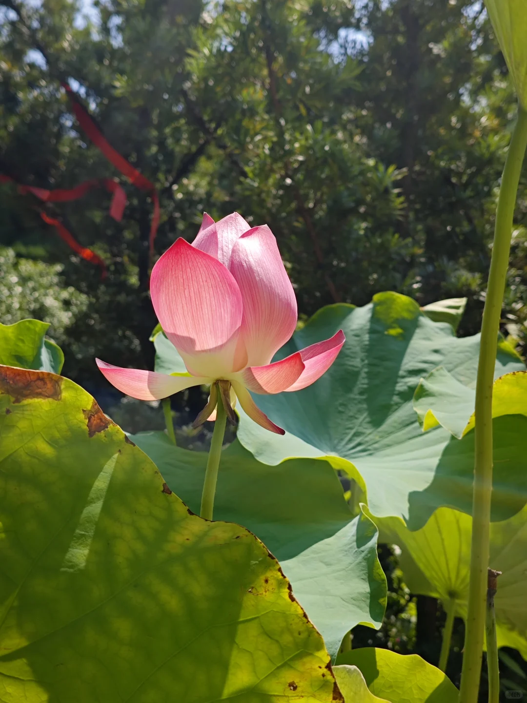 半天游玩抚州城攻略 抚州真的太好拍了