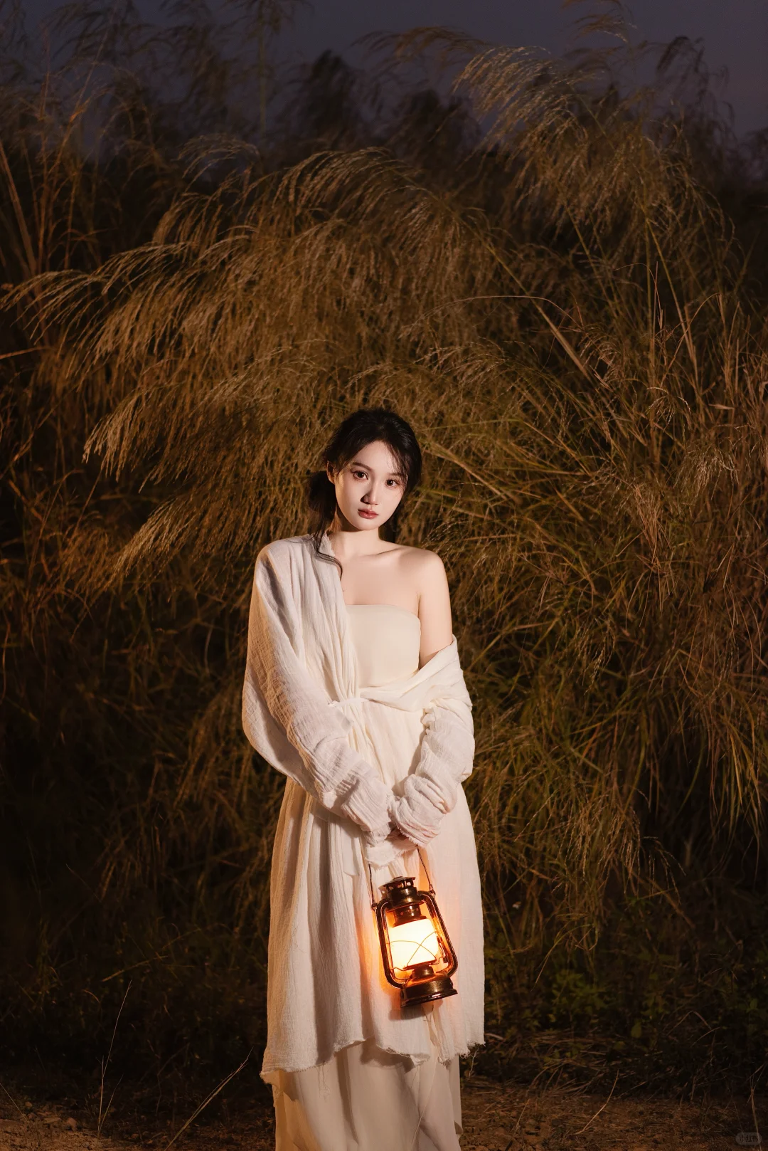 赣州芦苇彻底黄啦