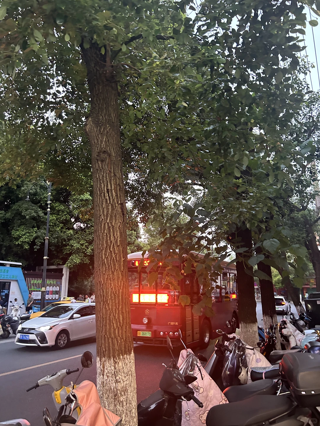 赣州我真的不行了.....