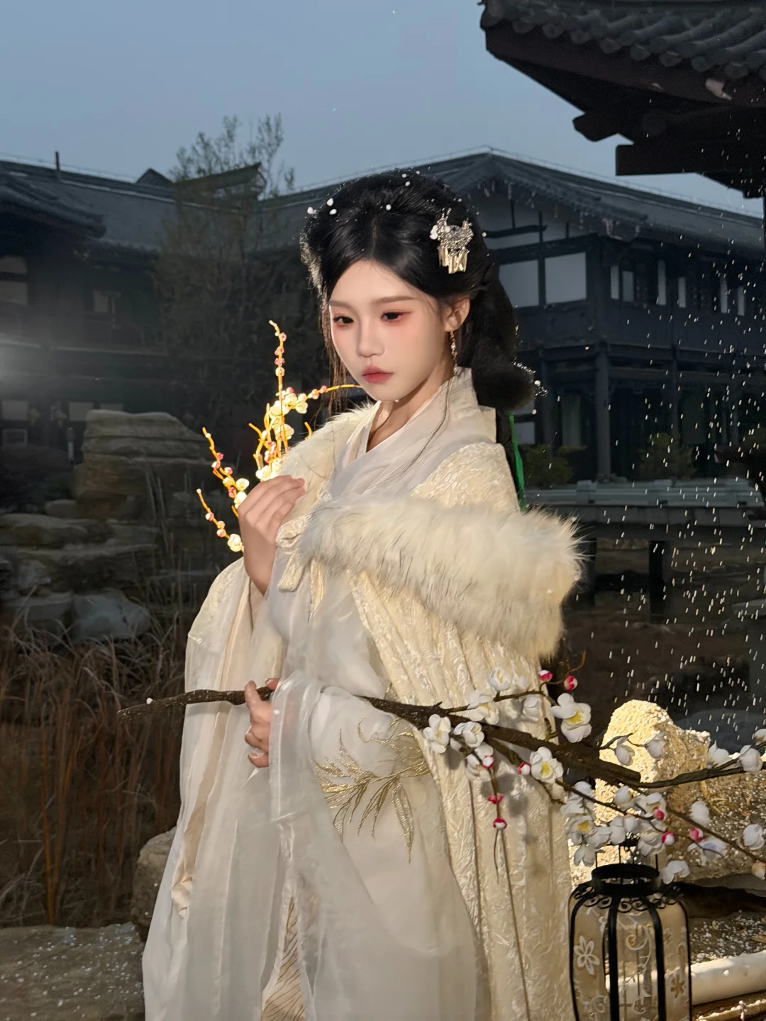 抚州写真|风雪依稀秋白发尾