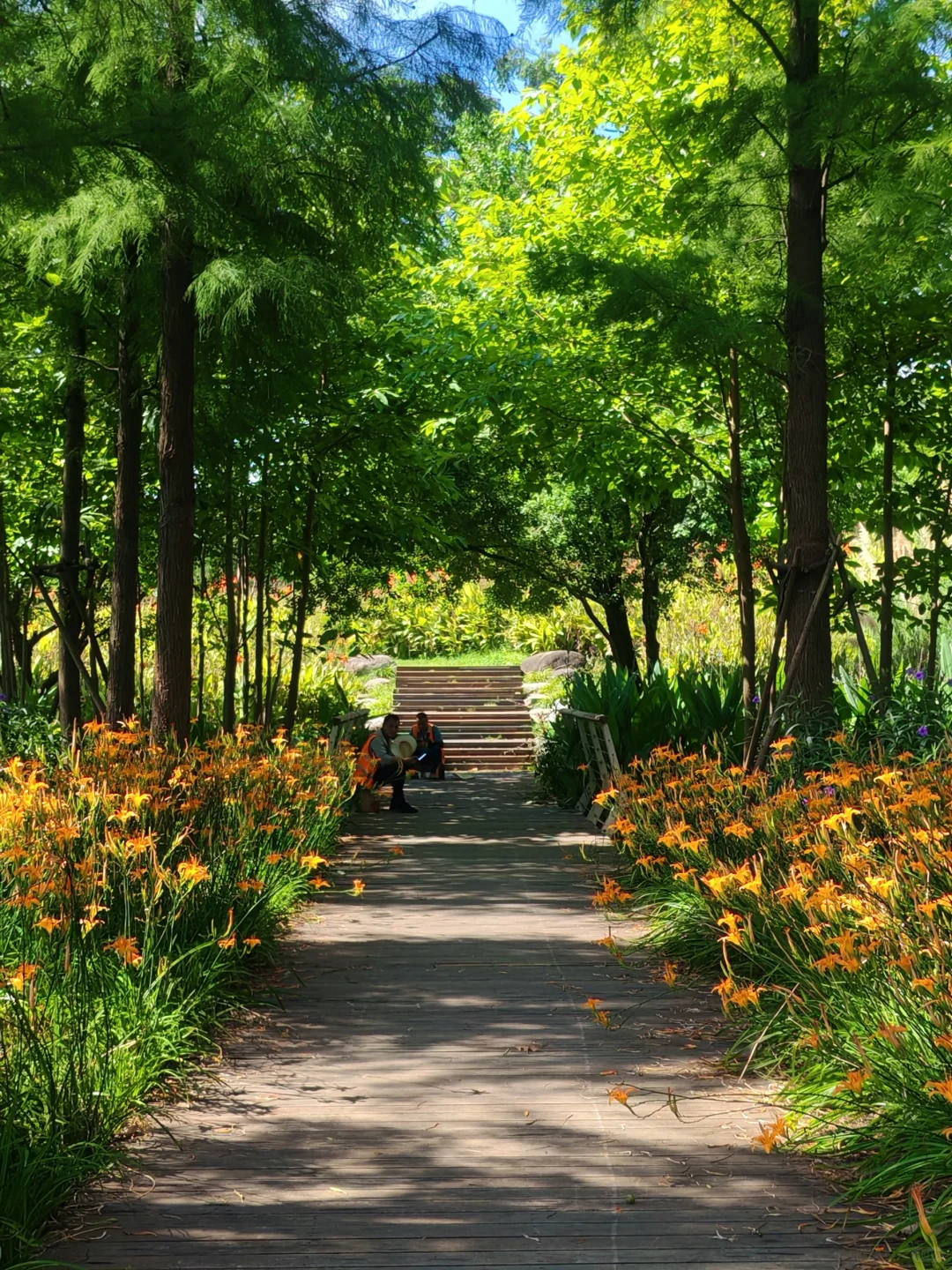 赣州超美的一个公园…