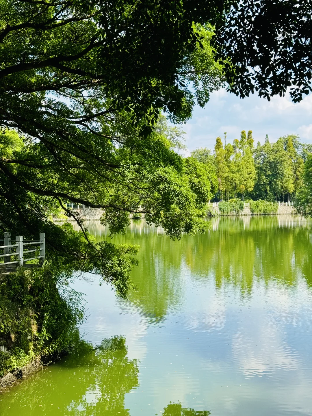 📍赣州丨江南宋城