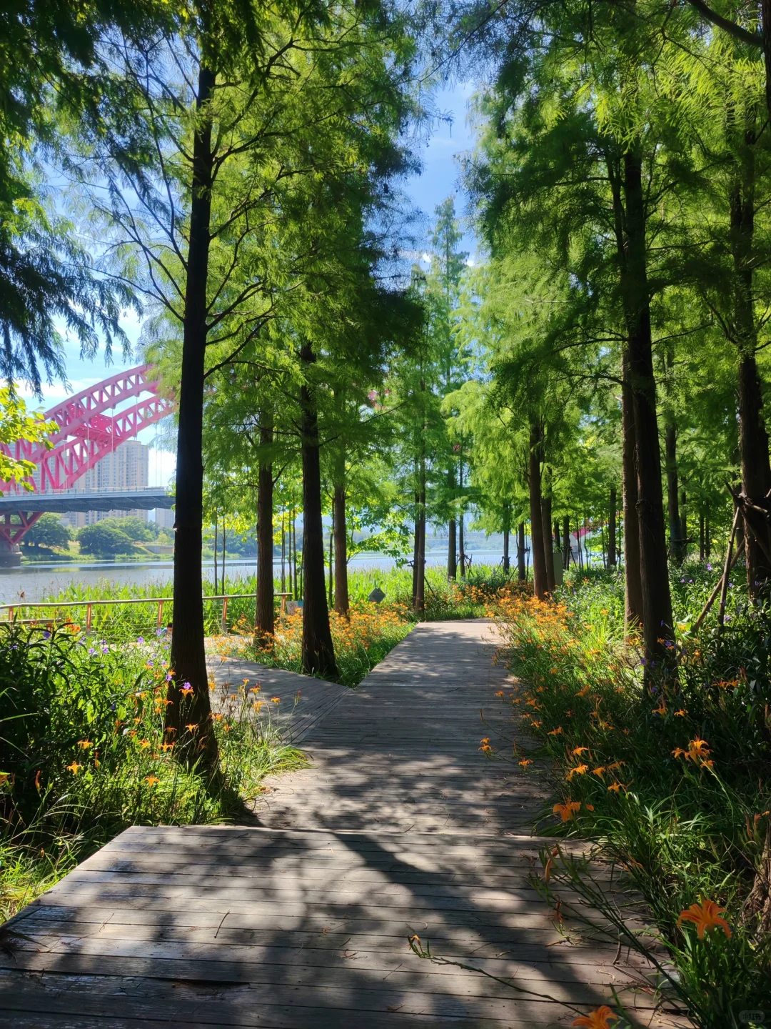 赣州超美的一个公园…