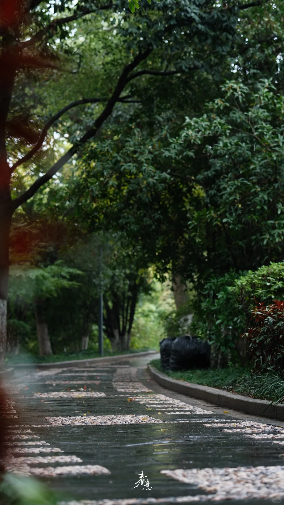 赣州｜八境公园