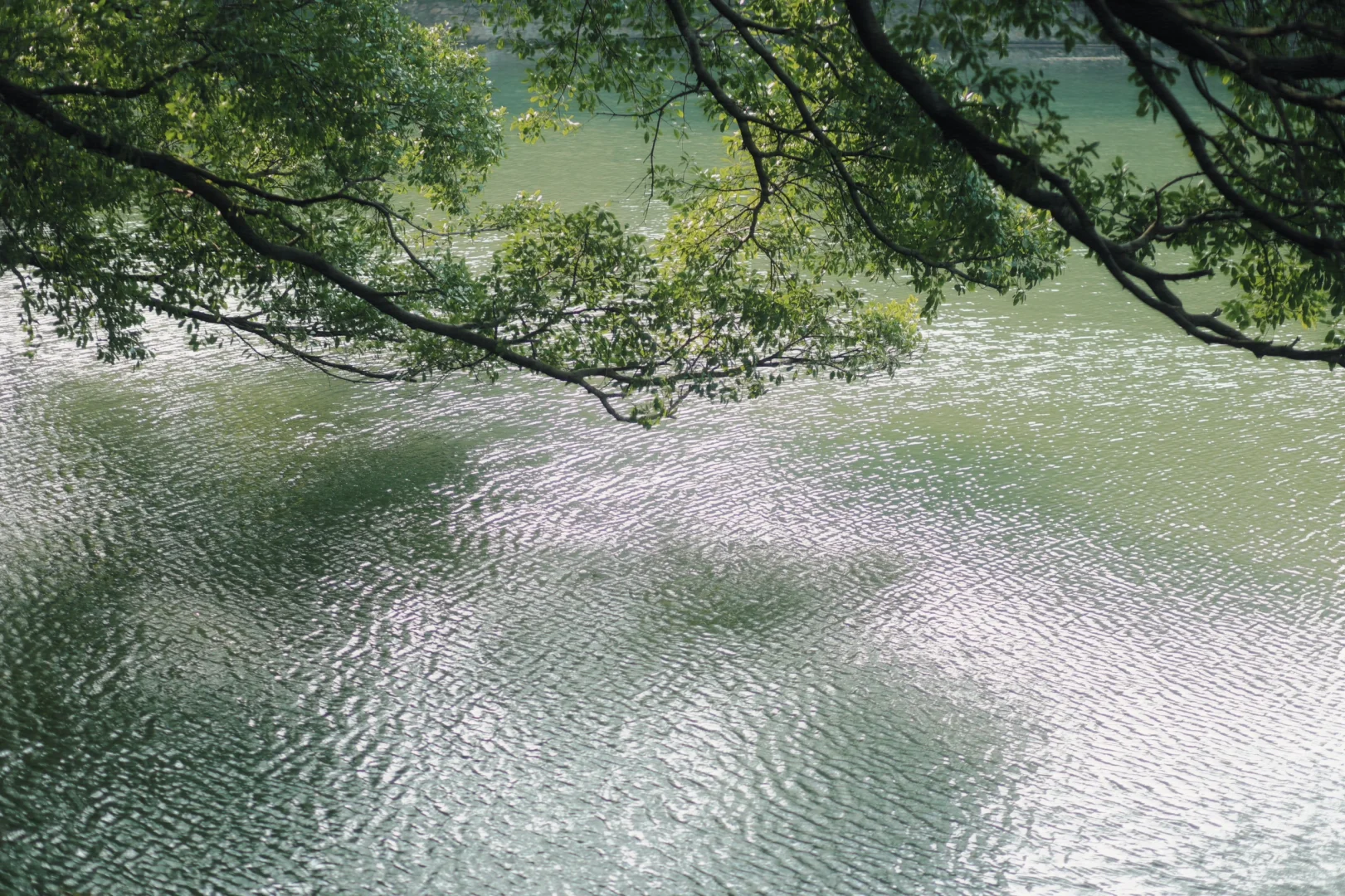 赣州 | 不就是真江南吗🏮