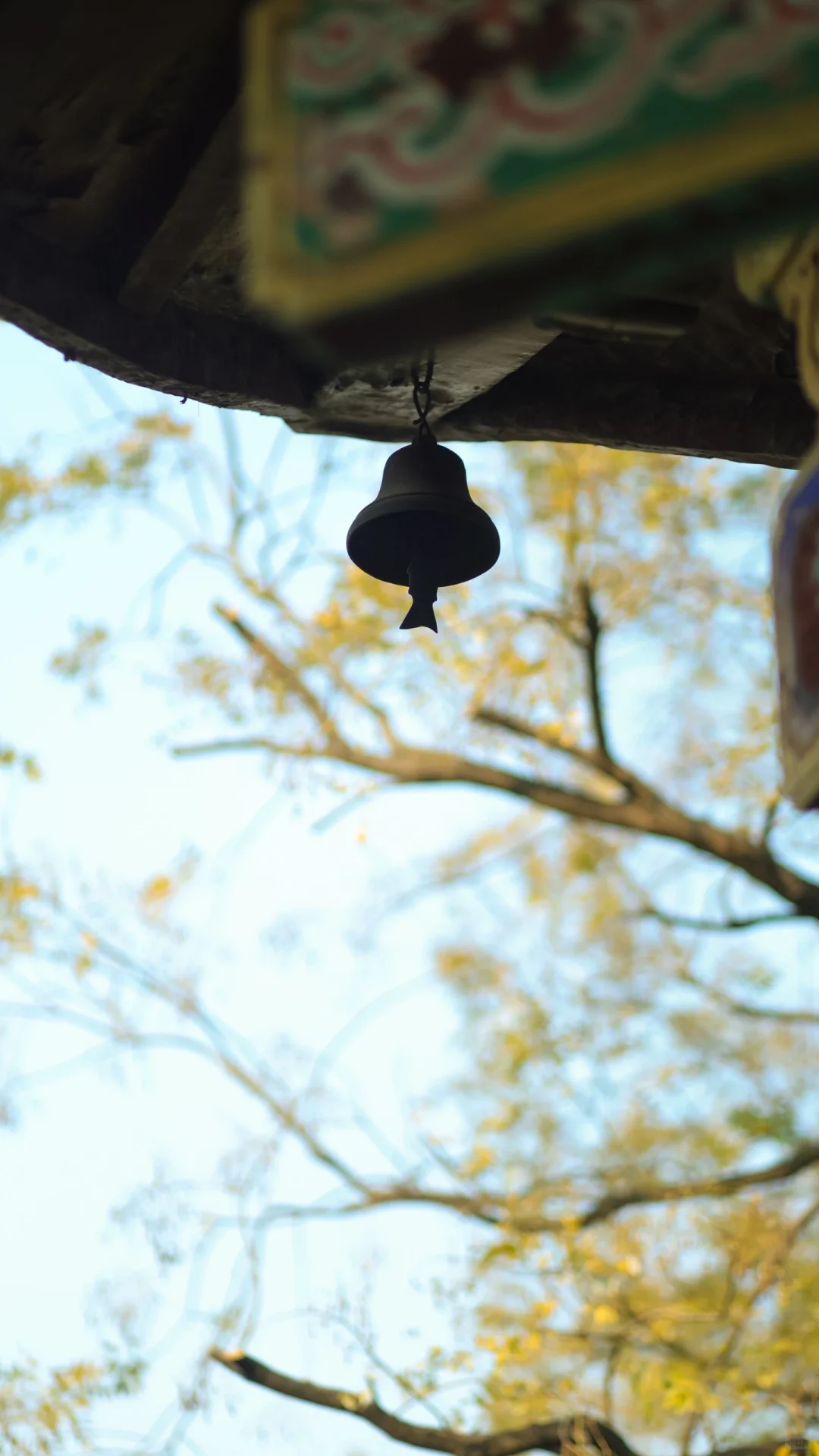 赣州 | 不就是真江南吗🏮