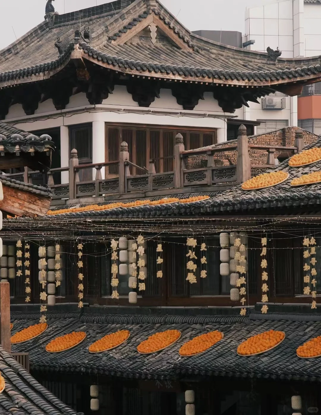 赣州这波赢麻了｜宋城和脐橙完美融合