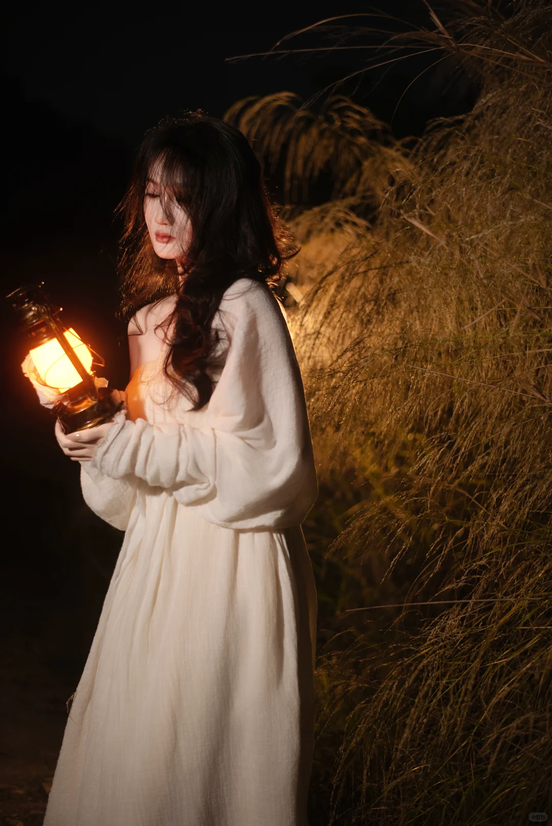 赣州芦苇彻底黄啦